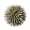 Foam Spike Orb 6" Sage