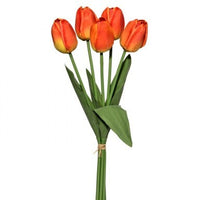 Foam Tulip Bundle Orange