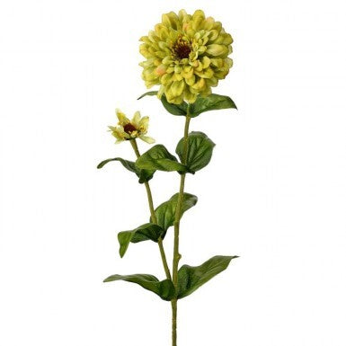 GARDEN ZINNIA + BUD 30" ( Green)
