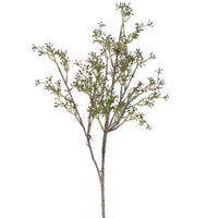 EUCALYPTUS SEED SPRAY 27"
