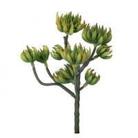9.5" PLS Branched Succulent Pick
