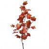 Northern Vermont Maple Spray