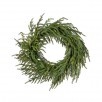 Just Cut Norfolk Pine Wreath