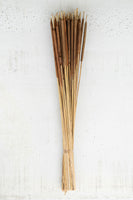 Bundle of 50 Dried Miniature Cattails