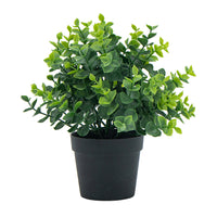 Greenery W/Pot