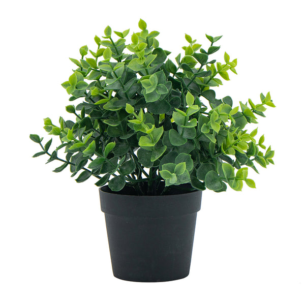 Greenery W/Pot