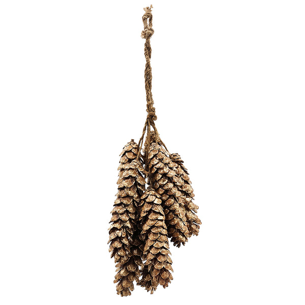 23.5" 8Pcs/Bunch Cluster Strobus Pine