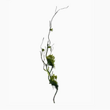 32" Designer's Selection-Moss Vine Tree Branches