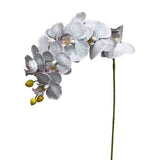 36" Real touch Phalaenopsis Orchid-Large bloom 9 Flowers: Pure white