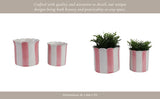 Plant Pot Set of 2 - Pink Ceramic Striped Scallop Edge,6/8in