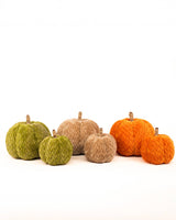 Hutchinson Pumpkin   Green   6"