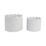 Plant Pot Set of 2 - White Ceramic Scalloped Arch, 9/12 in.