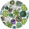 Succulents Lillie Pads 'Coaster for everything' 4" Round