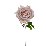 26"-Elegant Real Touch rose-Blush Taupe-Romantic Blush: Muted Beight