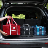 Insulated Travel Bag - Red - Fancy Panz® Accessory
