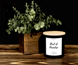 Bird of Paradise 16 oz 100% Soy Candle