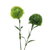 21.5" Realistic Faux Dianthus Green Ball Fresh Green stem: Deep Green
