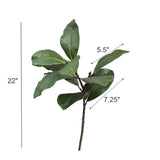 22"Ultra realistic Real Touch Magnolia Stem-10 leaves: Natural Green