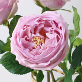 17"Premium Real touch English Austin Cabbage Rose Stem: Light Blue