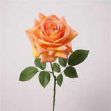 26"-Elegant Real Touch rose-Blush Taupe-Romantic Blush: Muted Beight