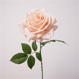 26"-Elegant Real Touch rose-Blush Taupe-Romantic Blush: Muted Beight