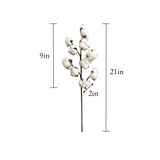 21"High Quality Cotton Stem-10 Large Cotton blossoms