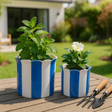 Plant Pot Set of 2 - Blue Ceramic Striped Scallop Edge,6/8in