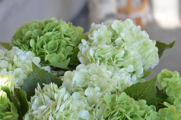 18" Realistic Real Touch Artificial Hydrangea Stem: Light Green