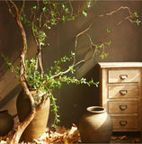 42"Quality Artificial Real touch Aglaia Odorata Spray