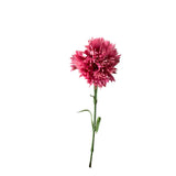 19.5"-Real Touch Needle Petal Modern Look Carnation: Dusty Rosewood