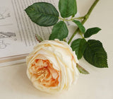 17"Premium Real touch English Austin Cabbage Rose Stem: Light Blue