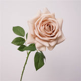 26"-Elegant Real Touch rose-Blush Taupe-Romantic Blush: Muted Beight