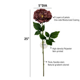 25” Fall Edition – Real Touch Moisturized Coating Peony Stem: Mauve Brown