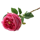 17"Premium Real touch English Austin Cabbage Rose Stem: Light Blue
