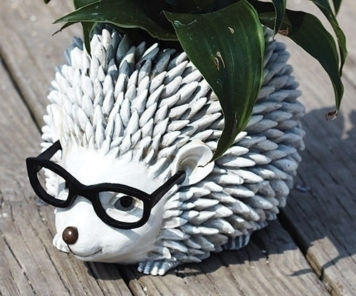 6.5"H HEDGEHOG W/GLASSES PLANTER; SILLY SPECTACLES