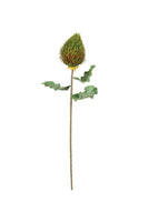 Botanica #3330