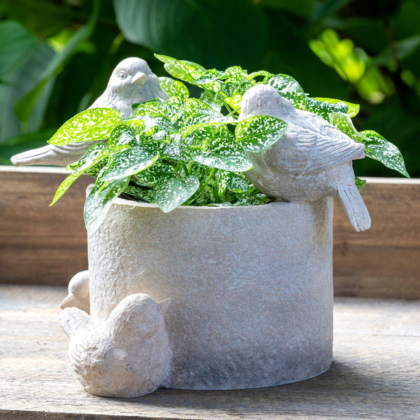 Garden Bird Planter, Small