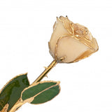 Gold Dipped Preserved Rose