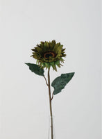 Sunflower Stem