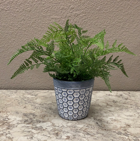 Faux Eagle Fern Planter