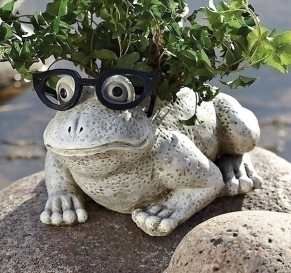 6"H FROG W/GLASSES PLANTER SILLY SPECTACLES