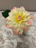 Zinnia Stem in Glass Bottle