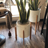 Plant Stand