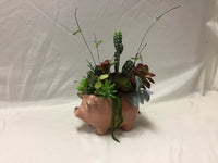 Ceramic Pink Pig with Custom Succulent Arrangement