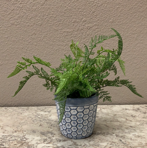Faux Fern