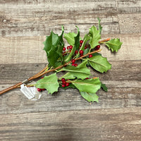 Red Christmas Berries