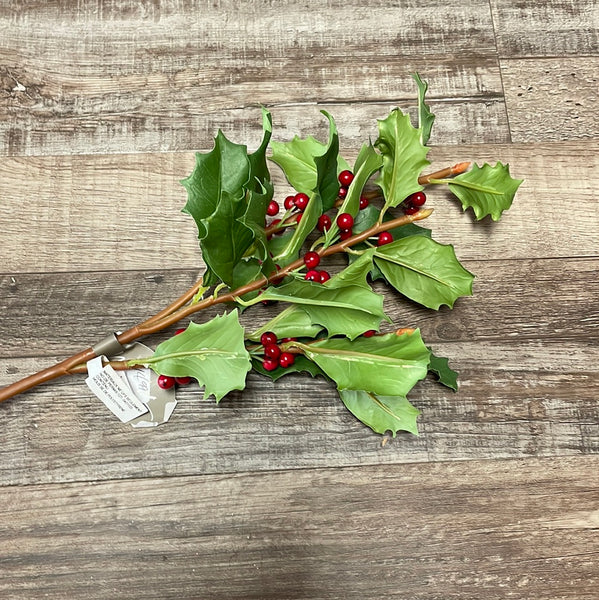 Red Christmas Berries