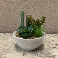 Mini Cactus in Bowl