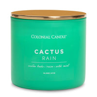 Cactus Rain Scented Jar Candle- 14.5oz